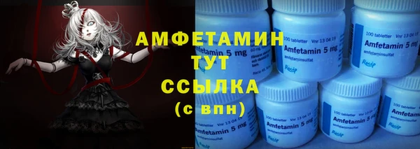 гашик Горняк