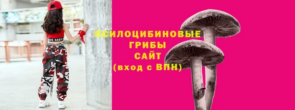 марки nbome Гусиноозёрск