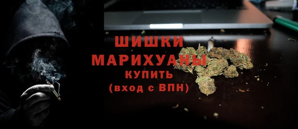 гашик Горняк