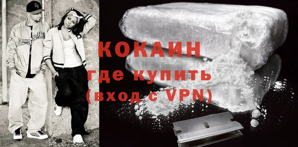 гашик Горняк
