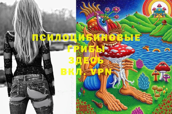 гашик Горняк