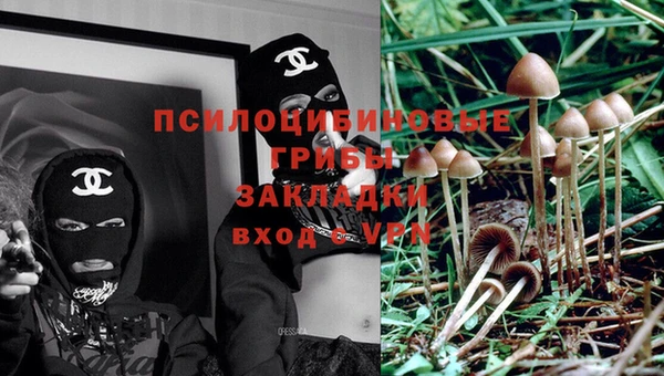 гашик Горняк