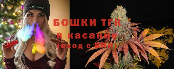 гашик Горняк